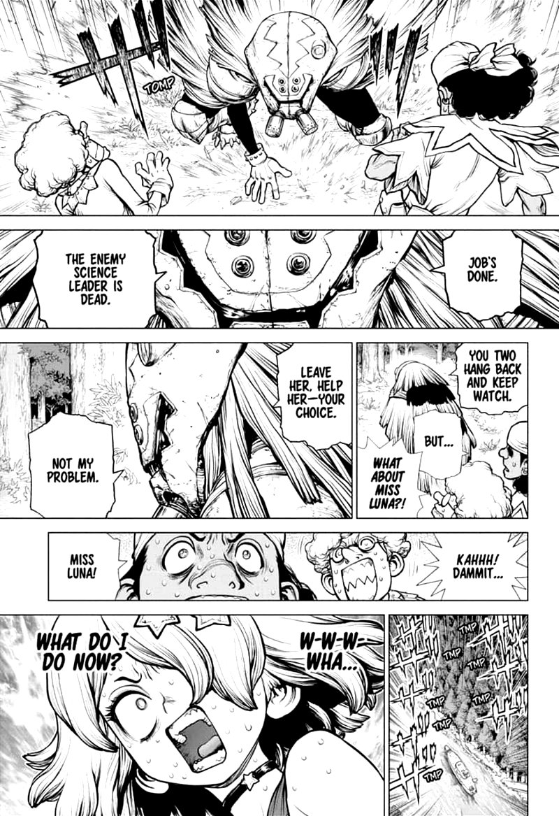 Dr Stone 160 3