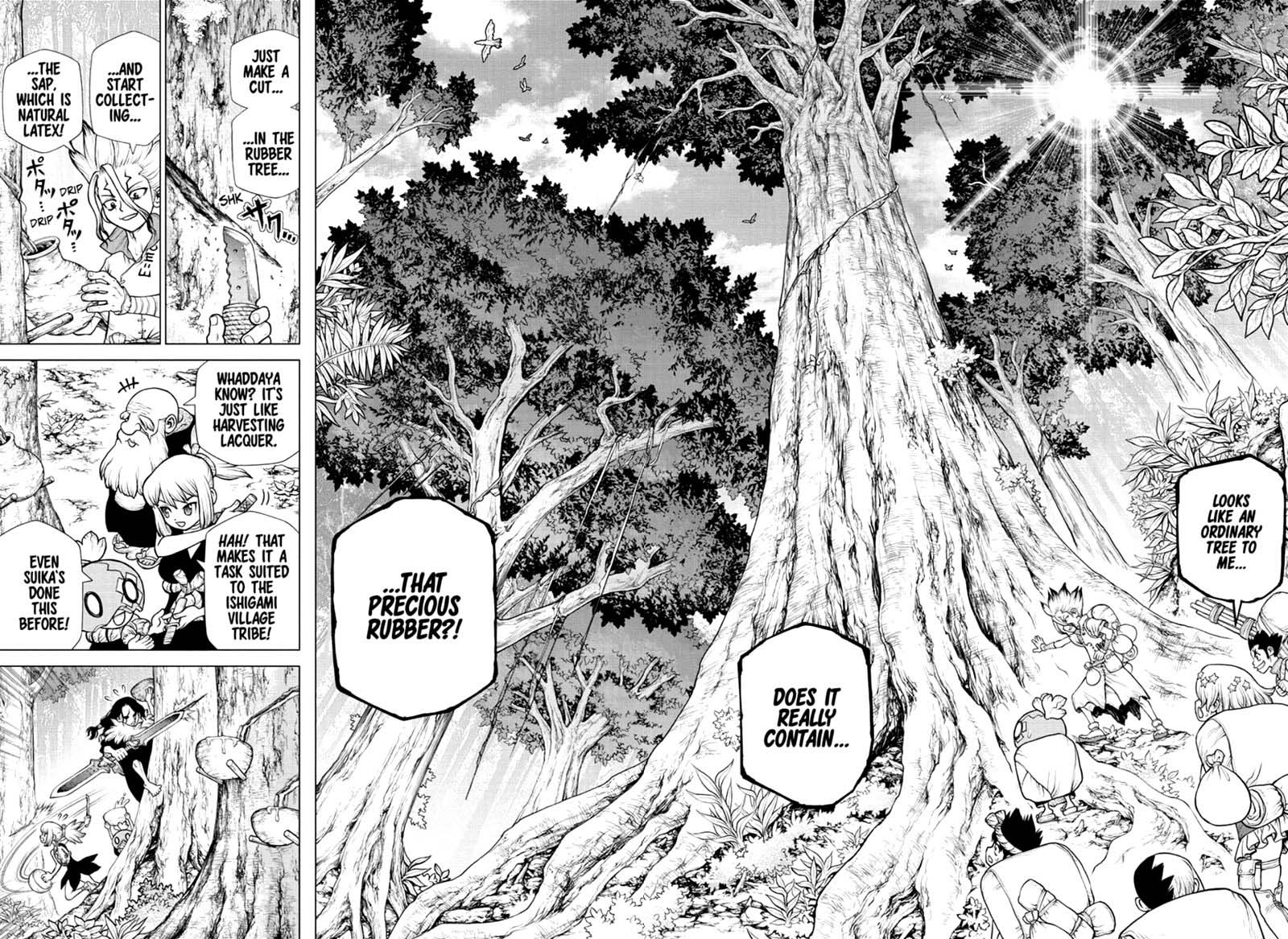 Dr Stone 174 11