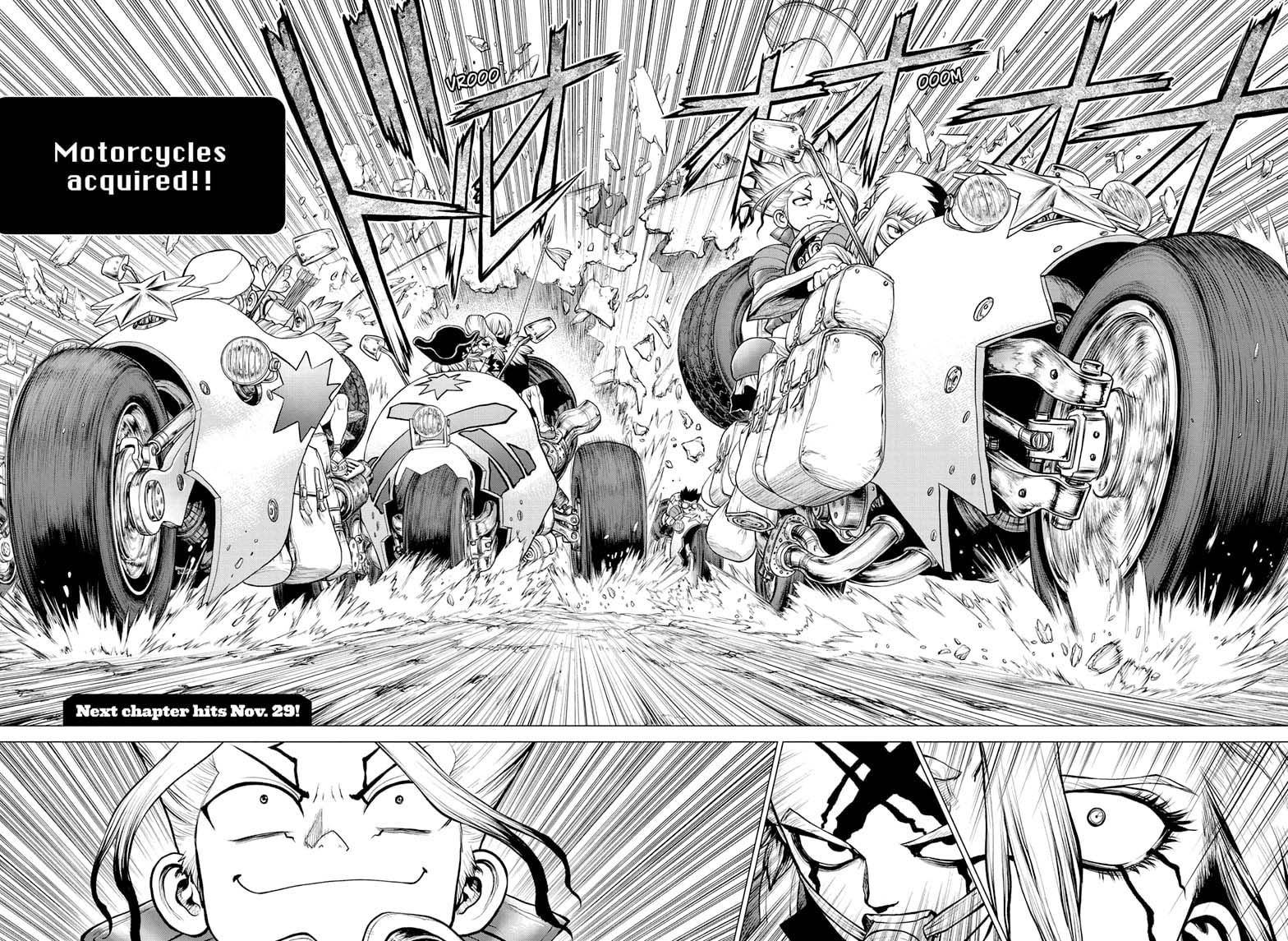 Dr Stone 175 17