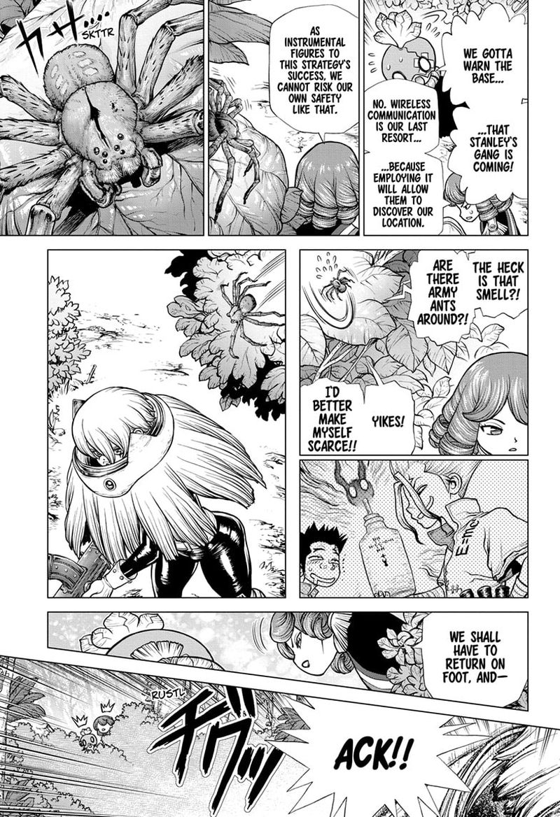 Dr Stone 185 12