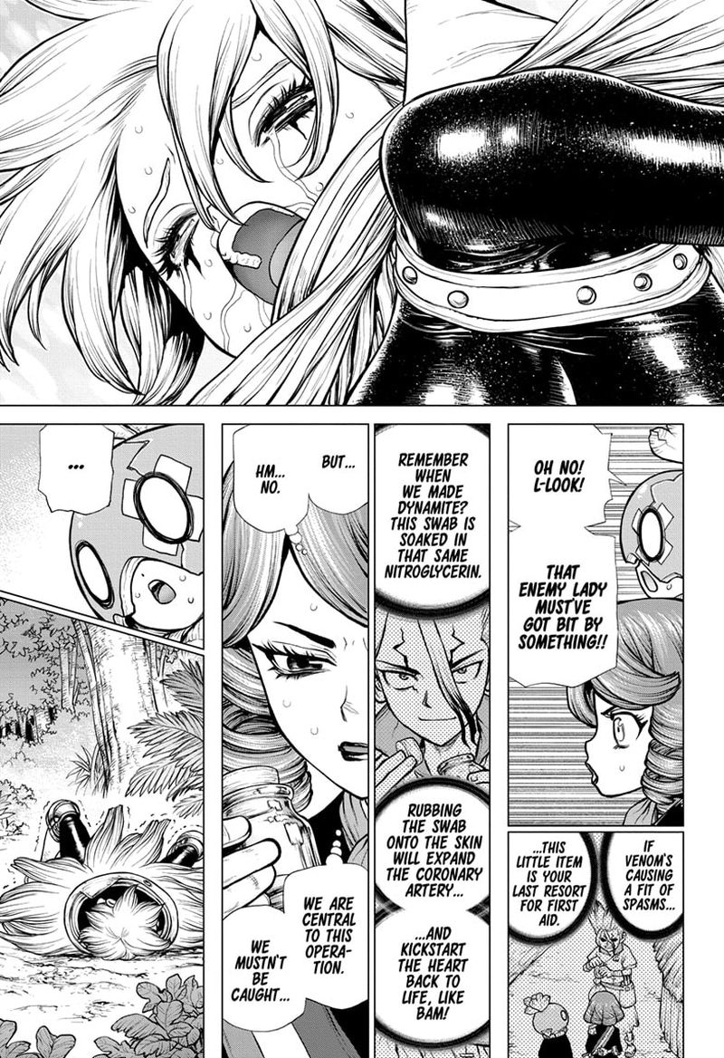 Dr Stone 185 14