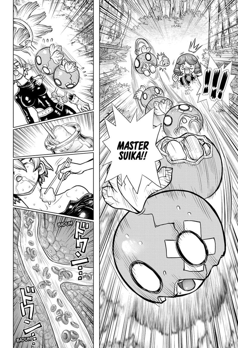 Dr Stone 185 15