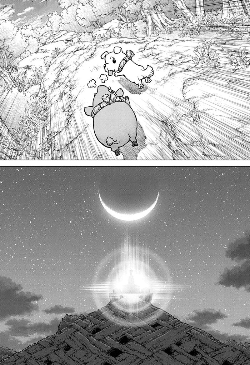 Dr Stone 193 14