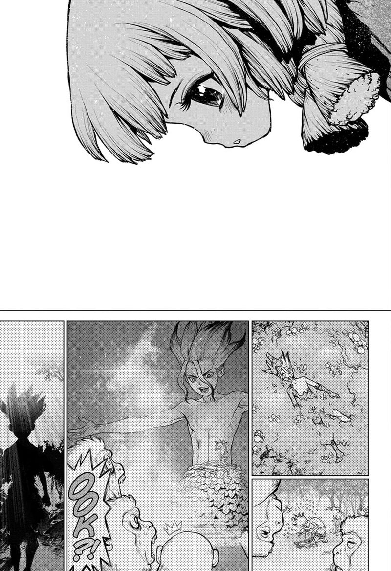 Dr Stone 194 14