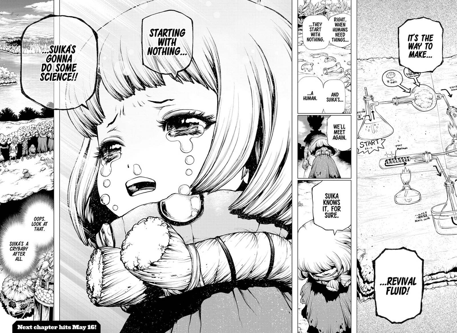 Dr Stone 195 16