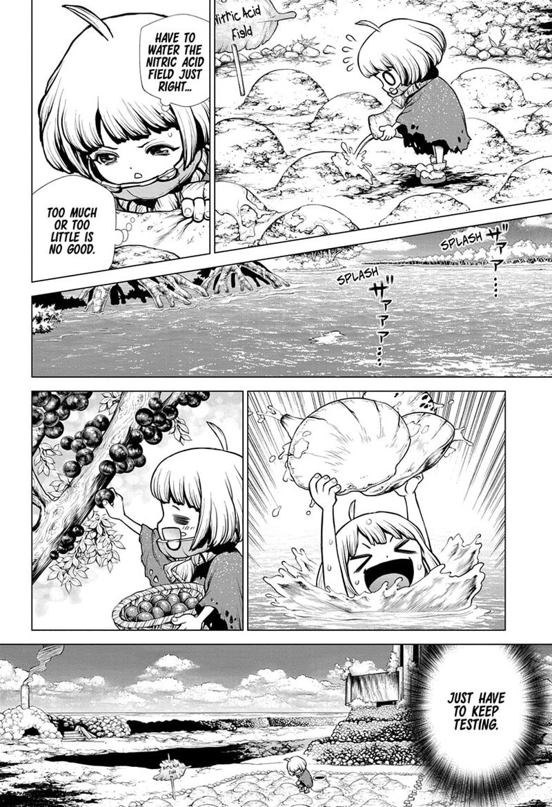 Dr Stone 196 12