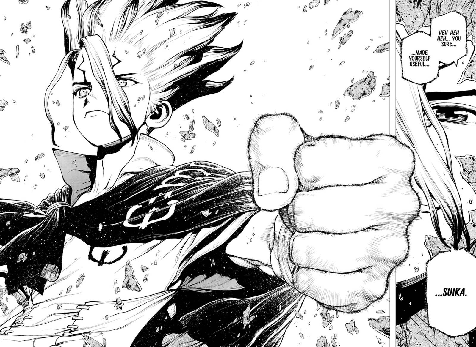 Dr Stone 196 17