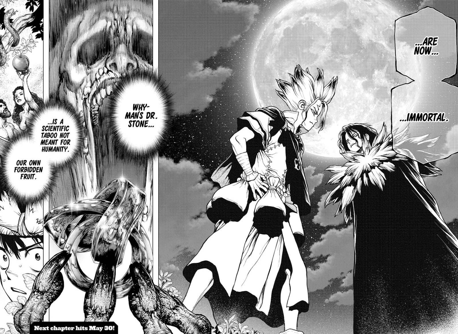 Dr Stone 197 17