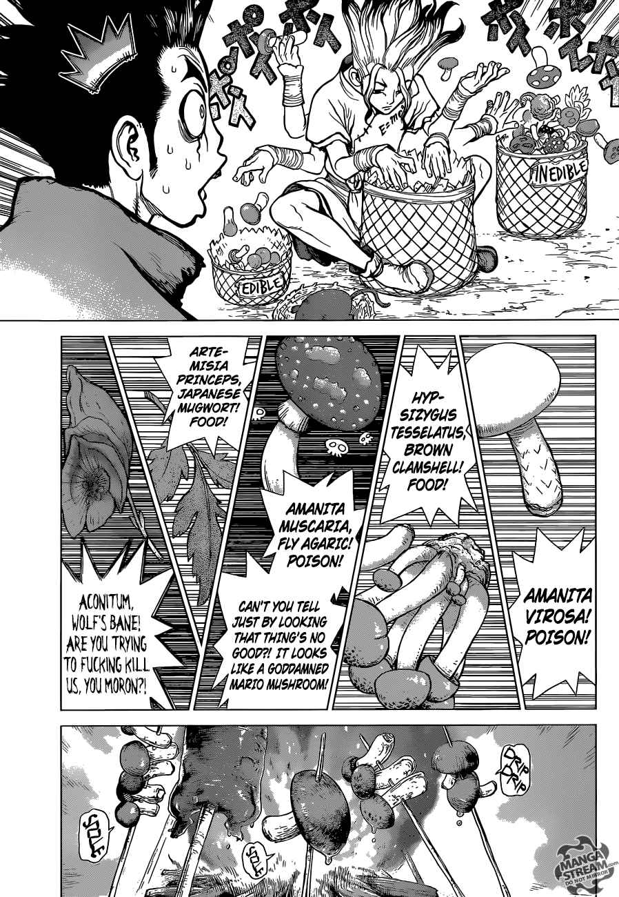 Dr Stone 2 3
