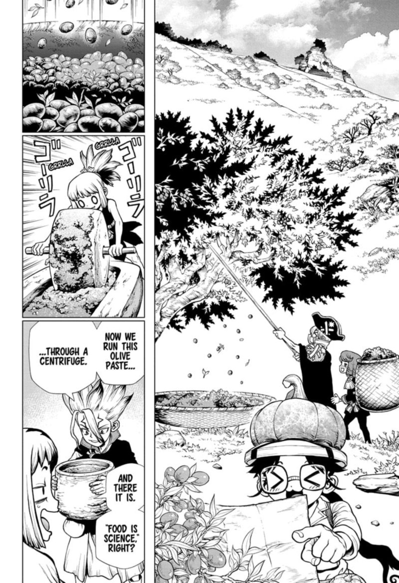 Dr Stone 202 5