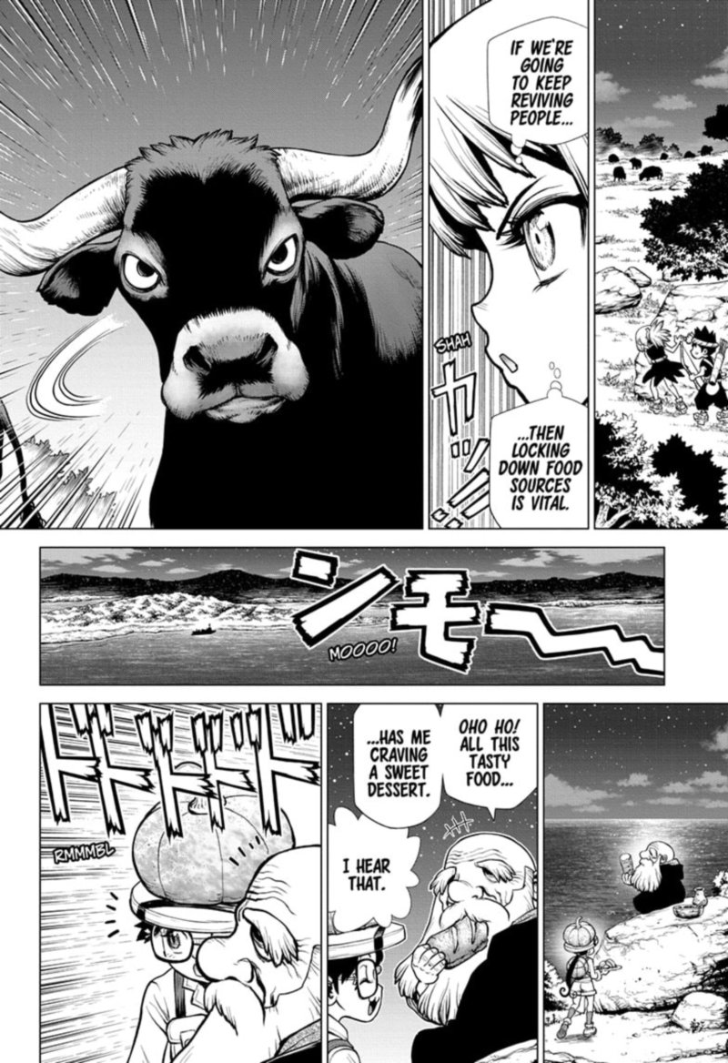 Dr Stone 202 9
