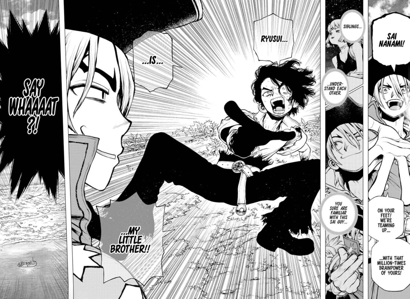 Dr Stone 204 16