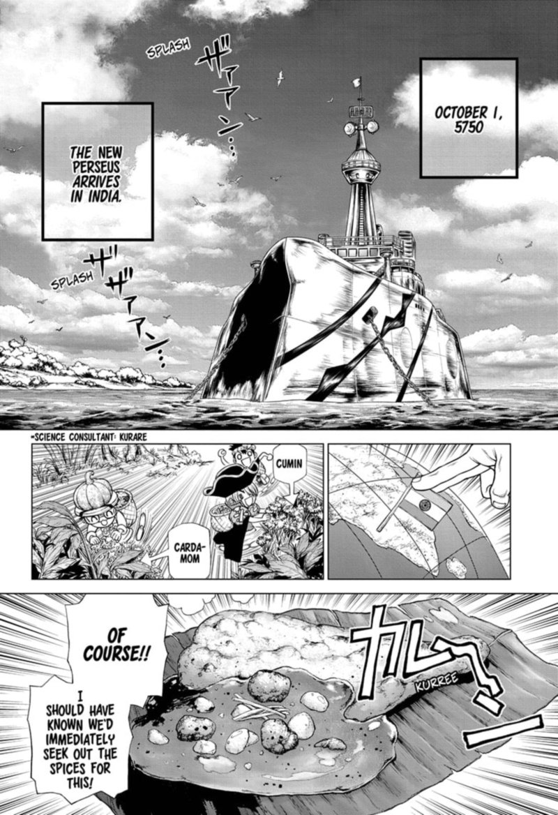Dr Stone 204 8