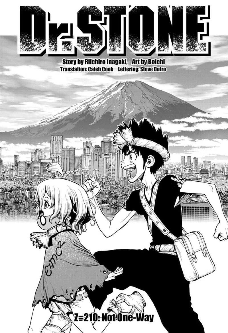 Dr Stone 210 1