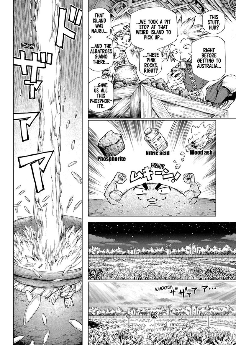 Dr Stone 211 11