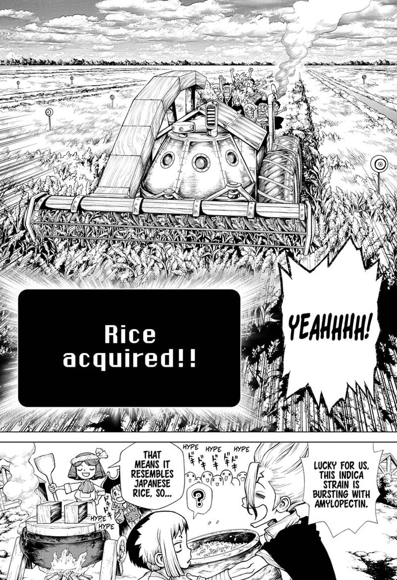 Dr Stone 211 12
