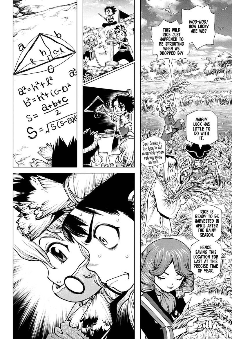 Dr Stone 211 8