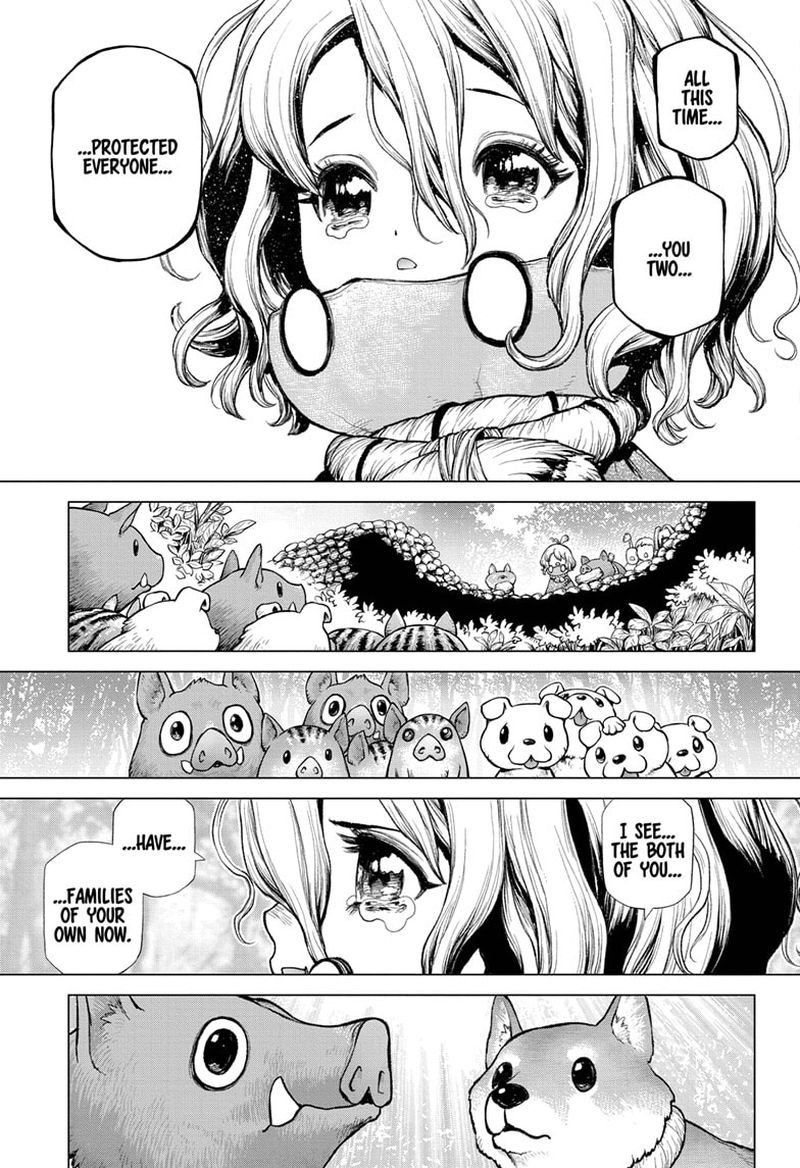 Dr Stone 212 12