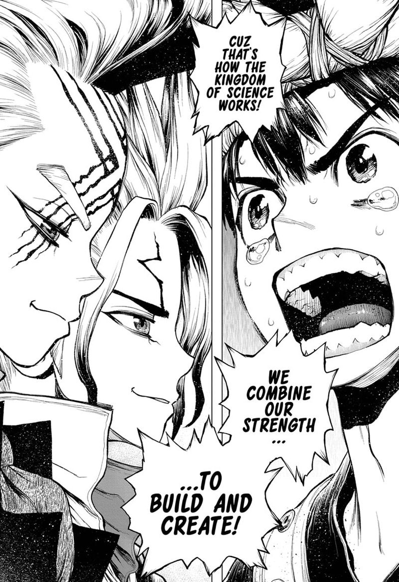 Dr Stone 217 11