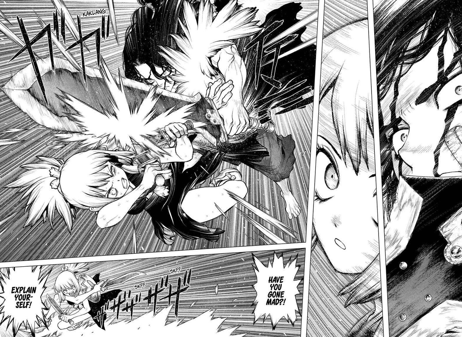 Dr Stone 219 14