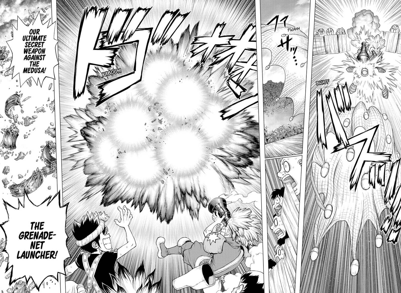 Dr Stone 220 12