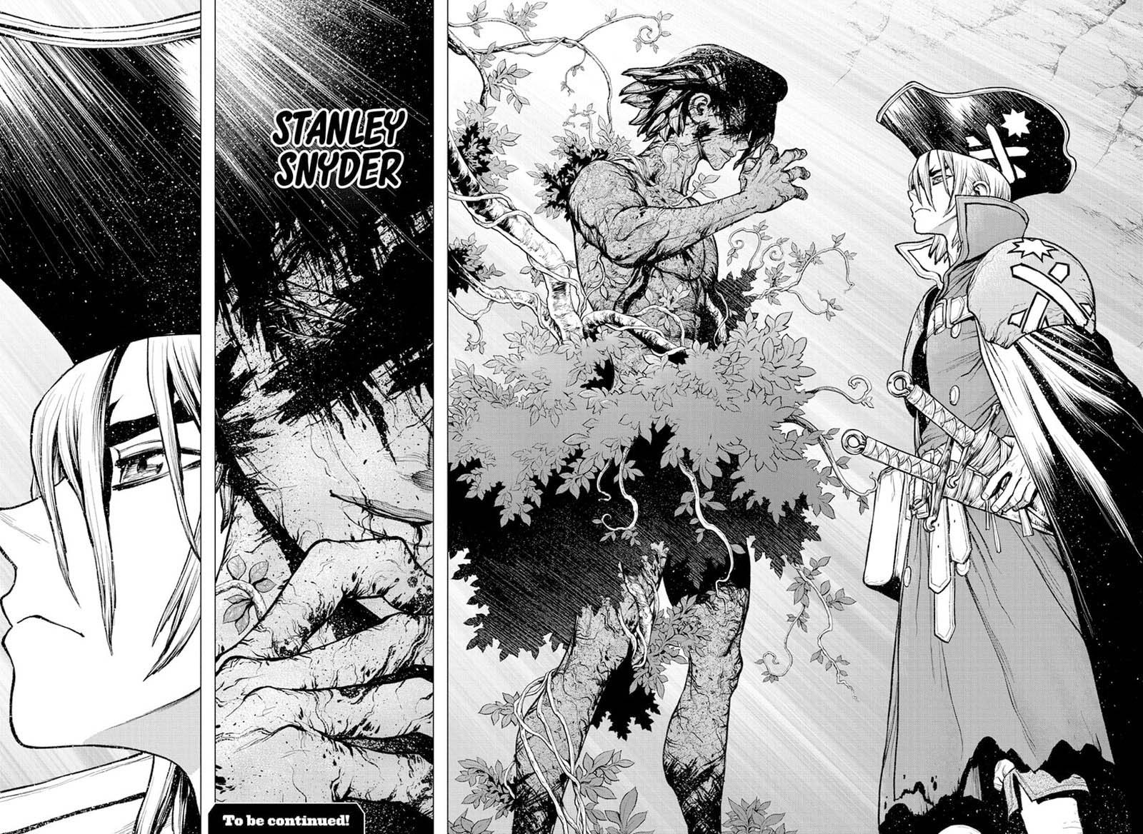 Dr Stone 220 17