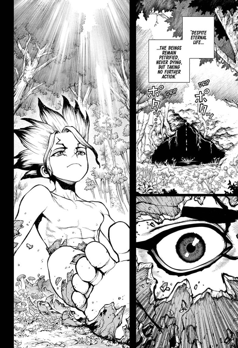 Dr Stone 229 13