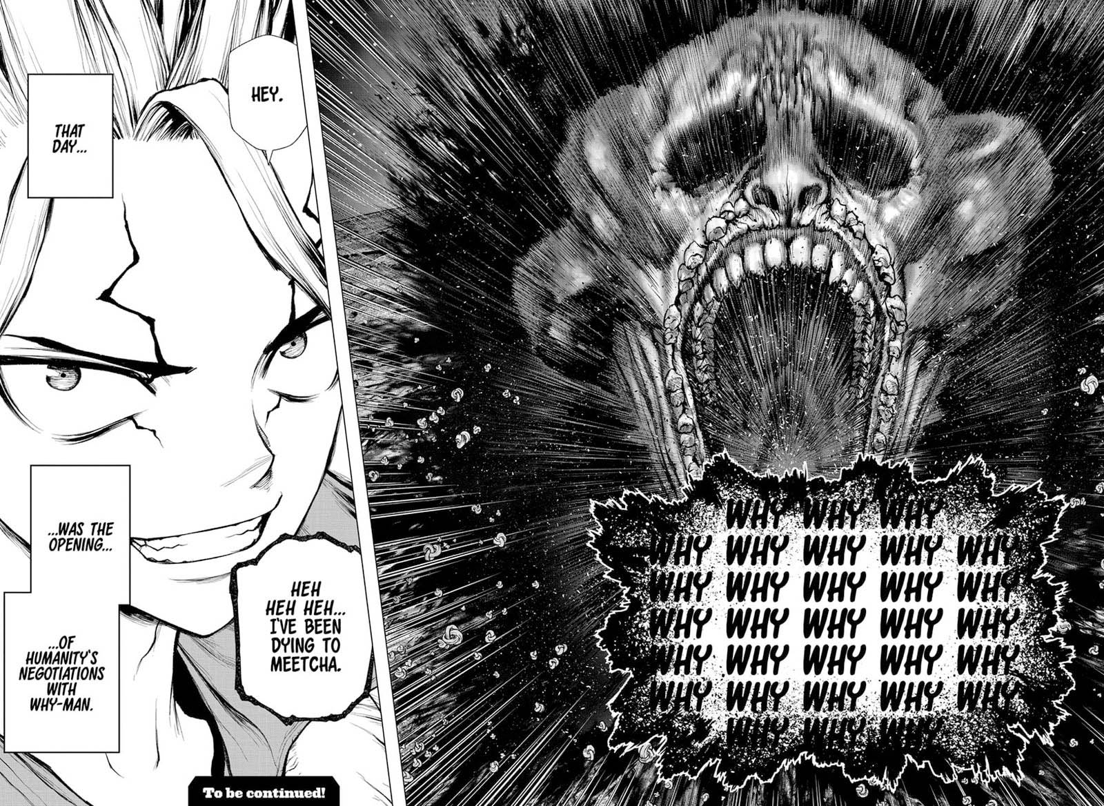 Dr Stone 229 17