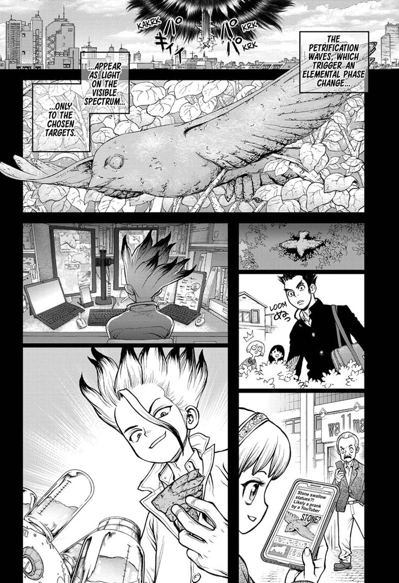 Dr Stone 229 6