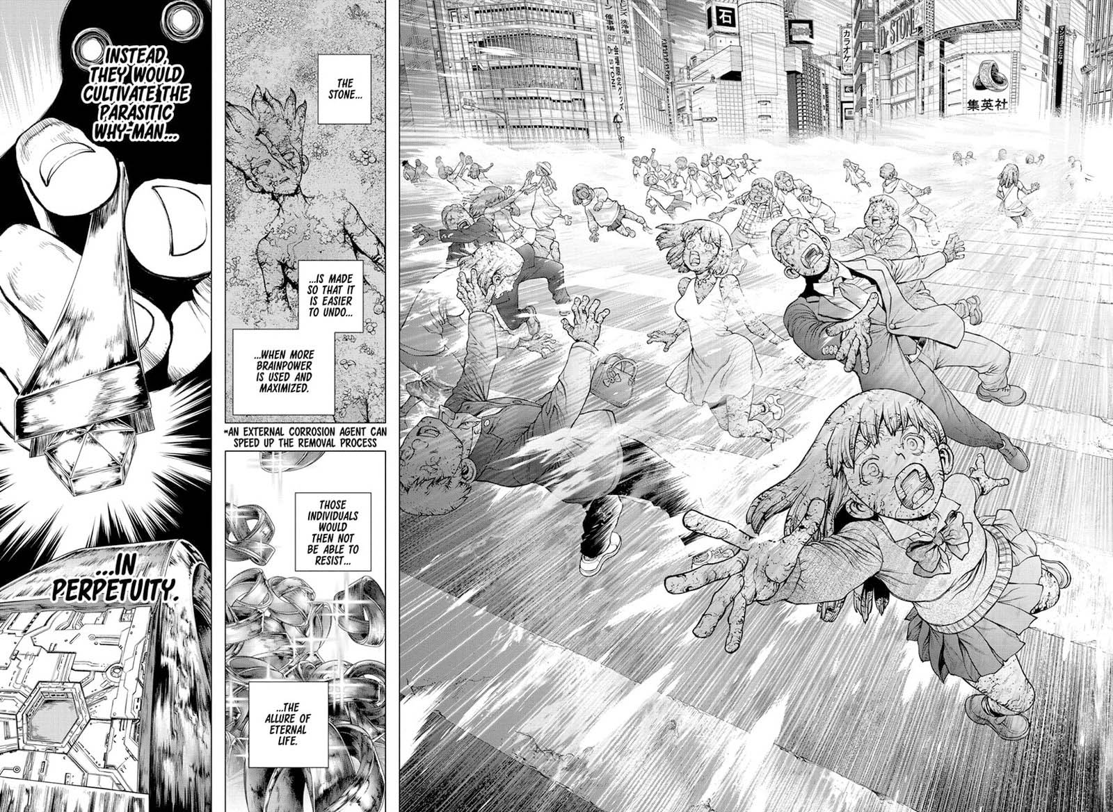 Dr Stone 229 8