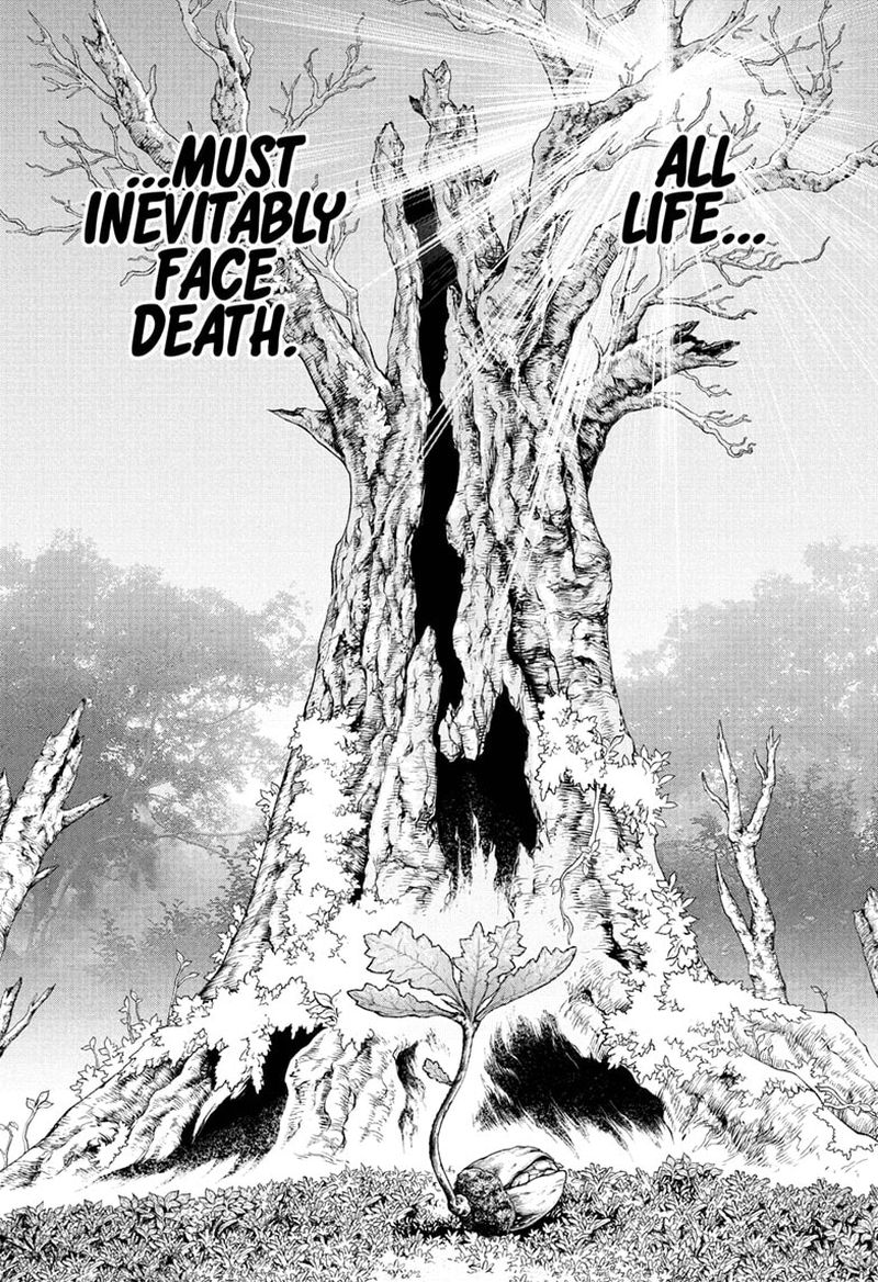 Dr Stone 230 1