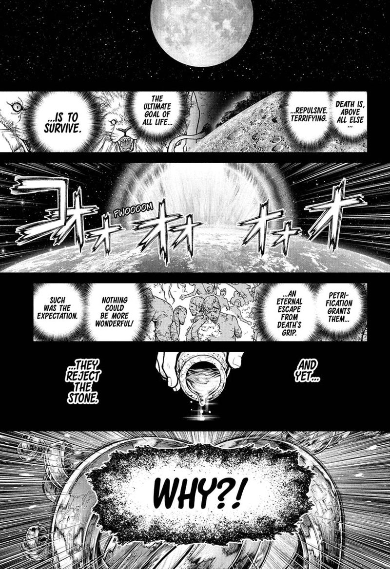 Dr Stone 230 3