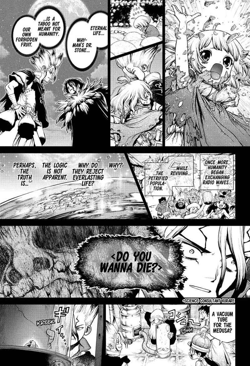 Dr Stone 230 7