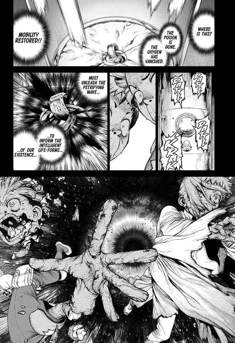Dr Stone 230 8