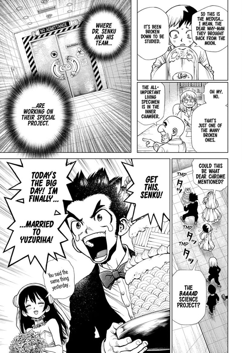Dr Stone 232 12