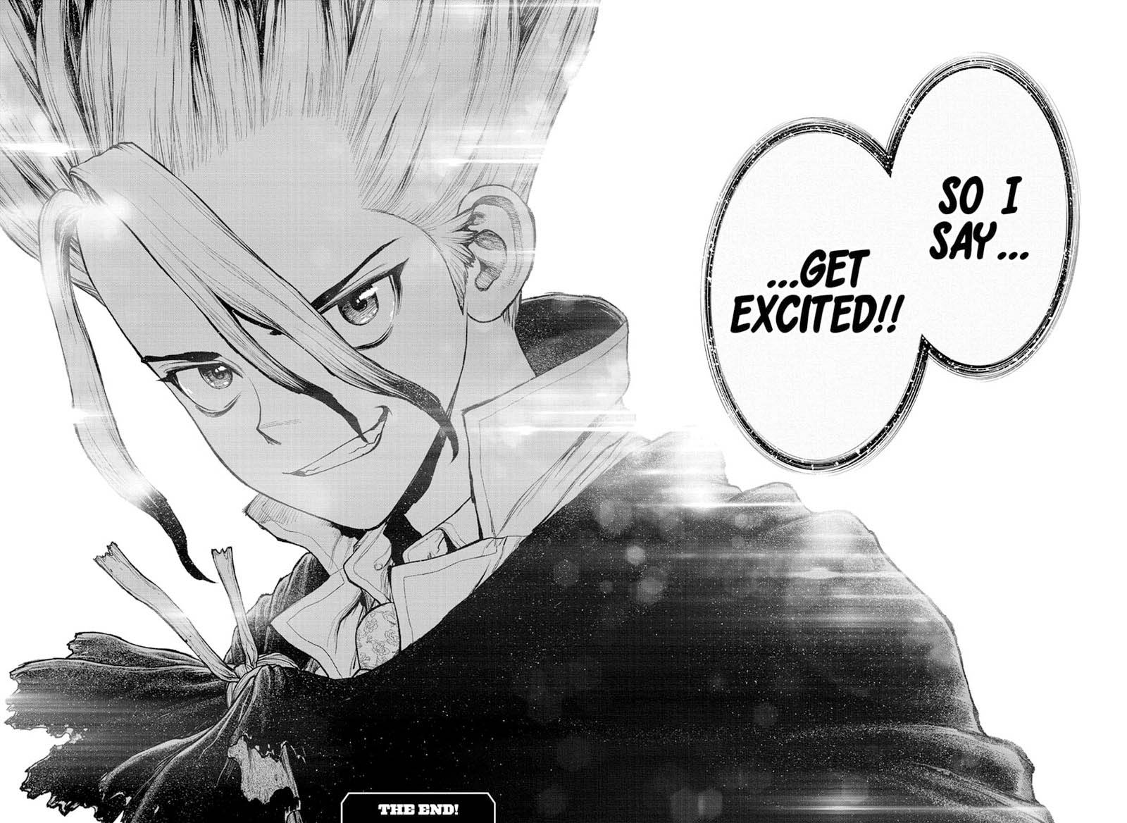 Dr Stone 232 20