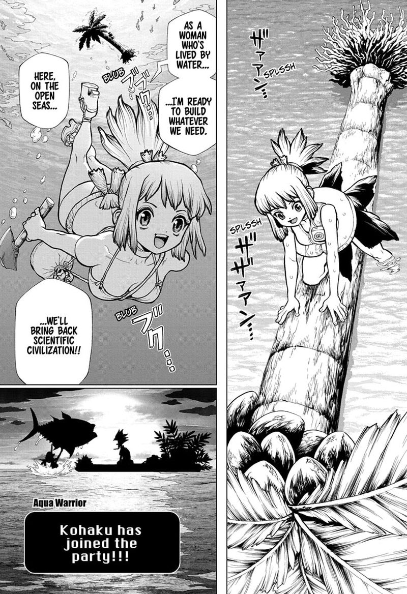 Dr Stone 232e 20