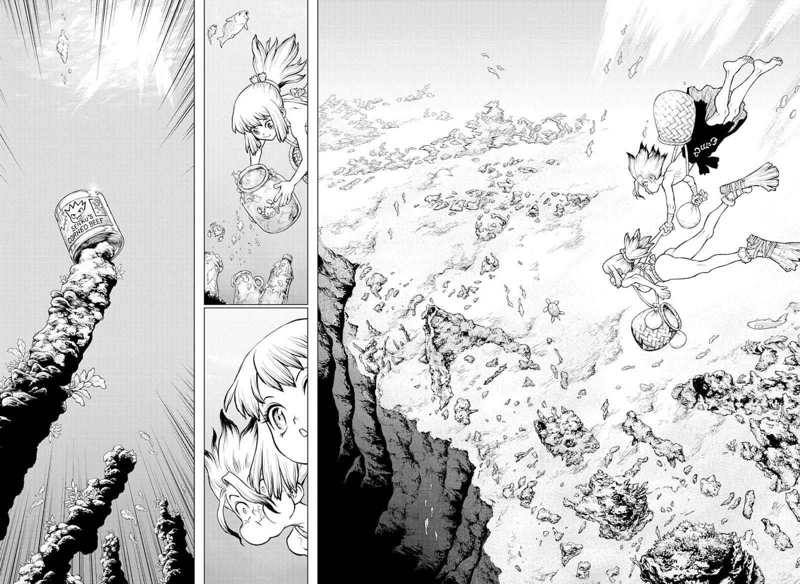 Dr Stone 232e 31