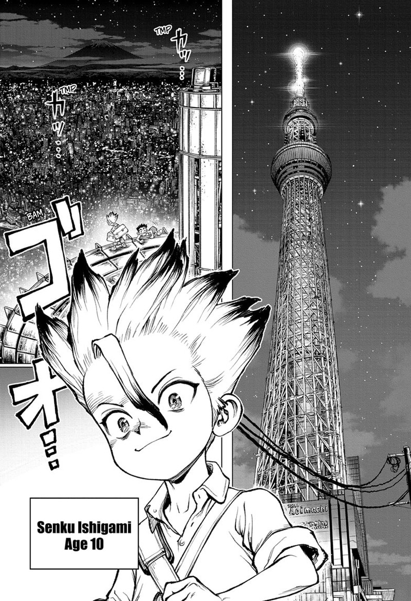 Dr Stone 232f 2