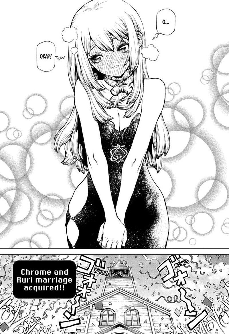 Dr Stone 232f 24