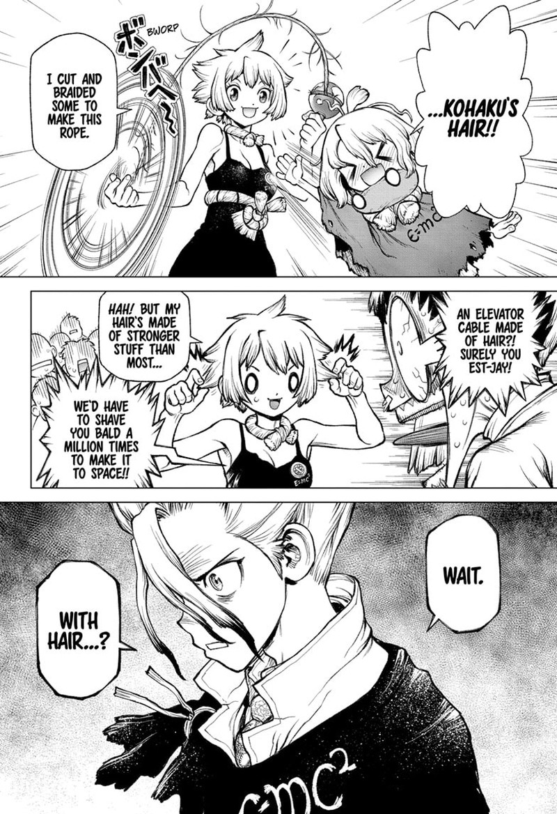 Dr Stone 232g 13