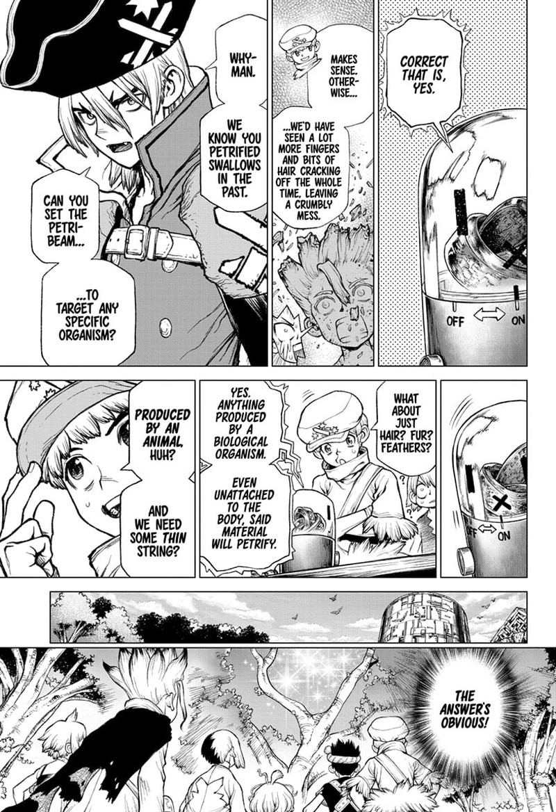 Dr Stone 232g 16