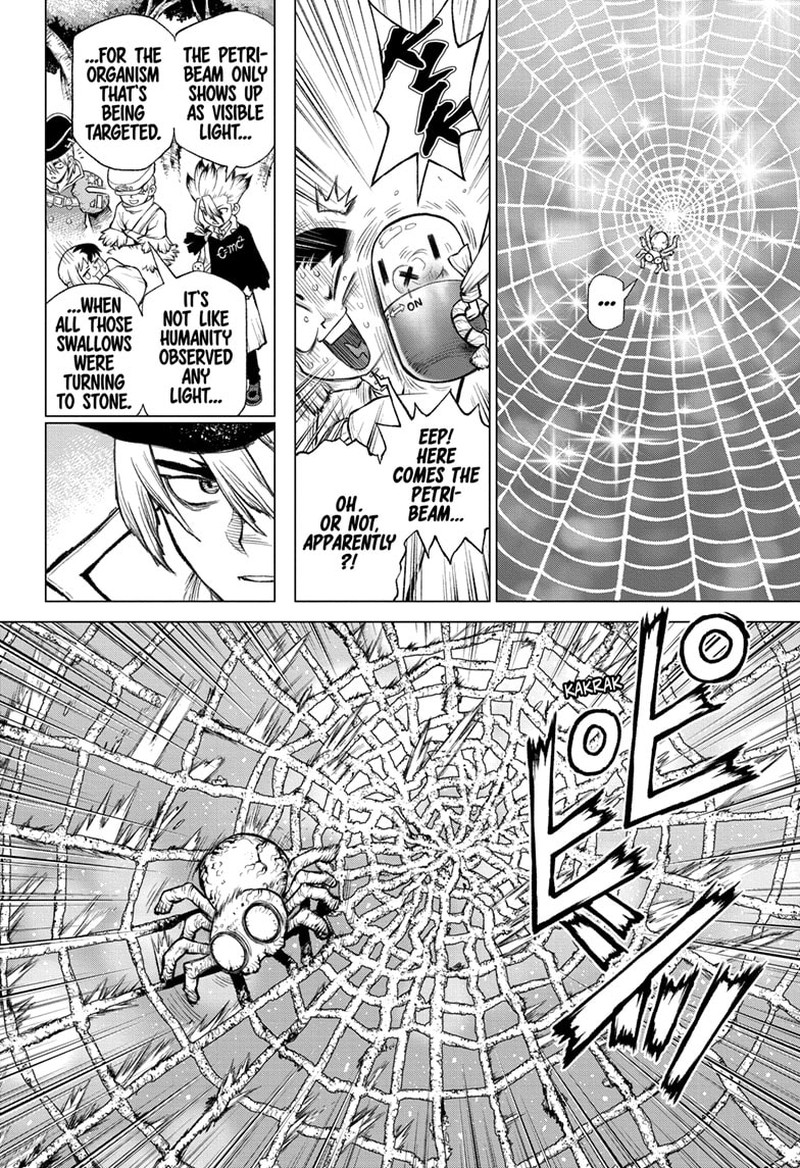 Dr Stone 232g 17