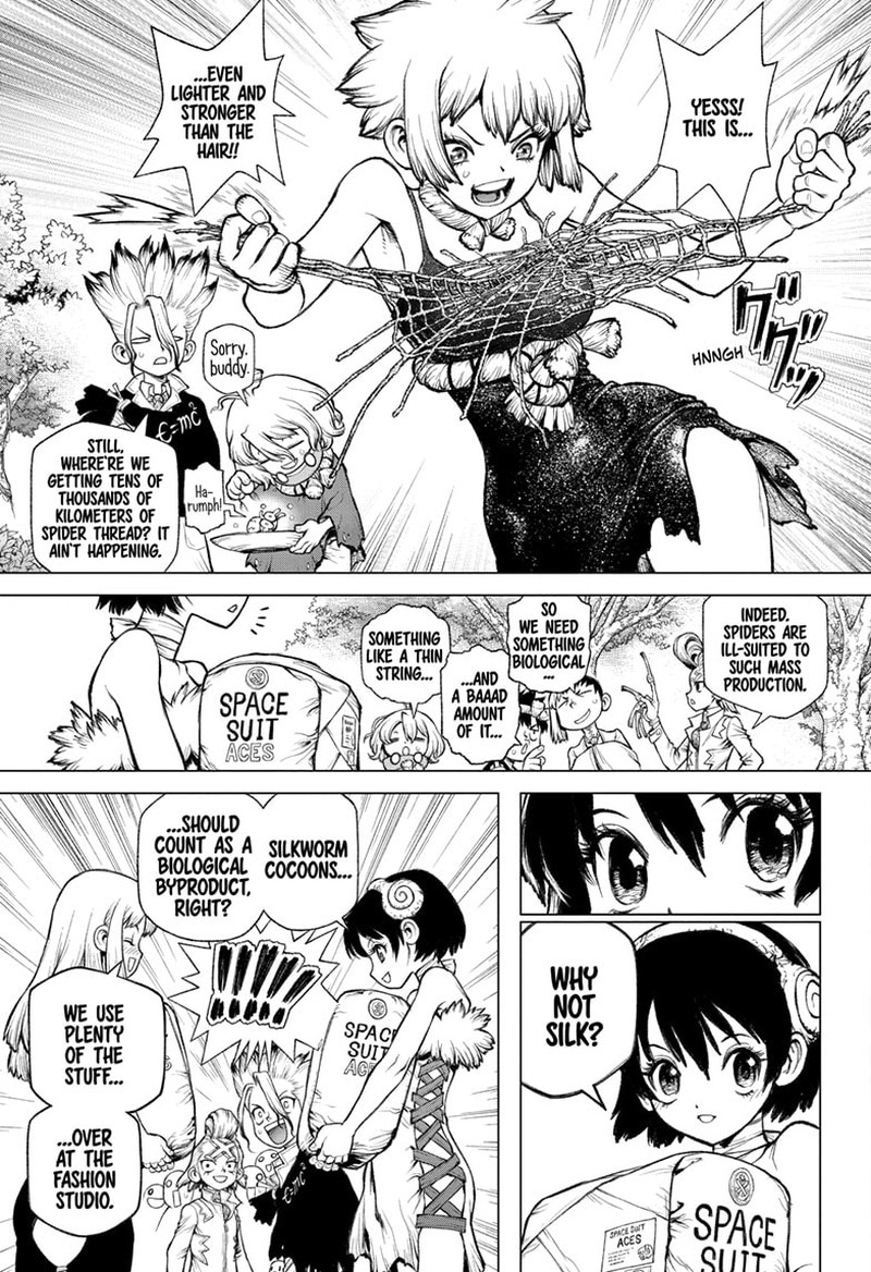 Dr Stone 232g 18