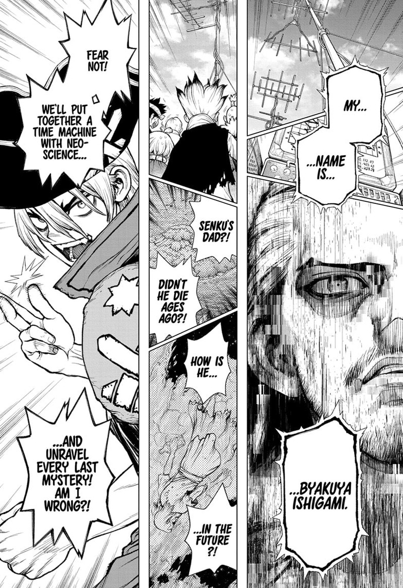 Dr Stone 232g 2