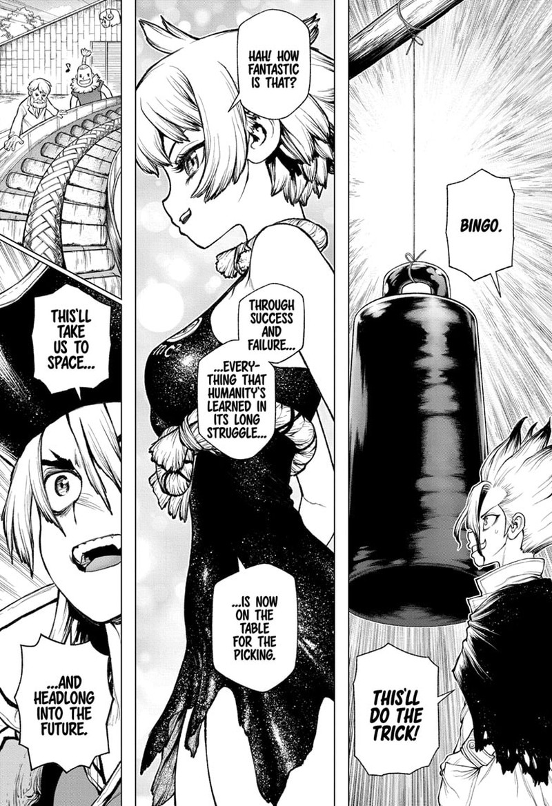 Dr Stone 232g 20