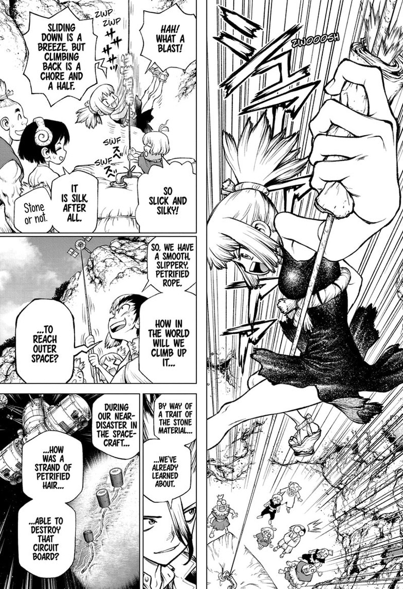 Dr Stone 232g 24