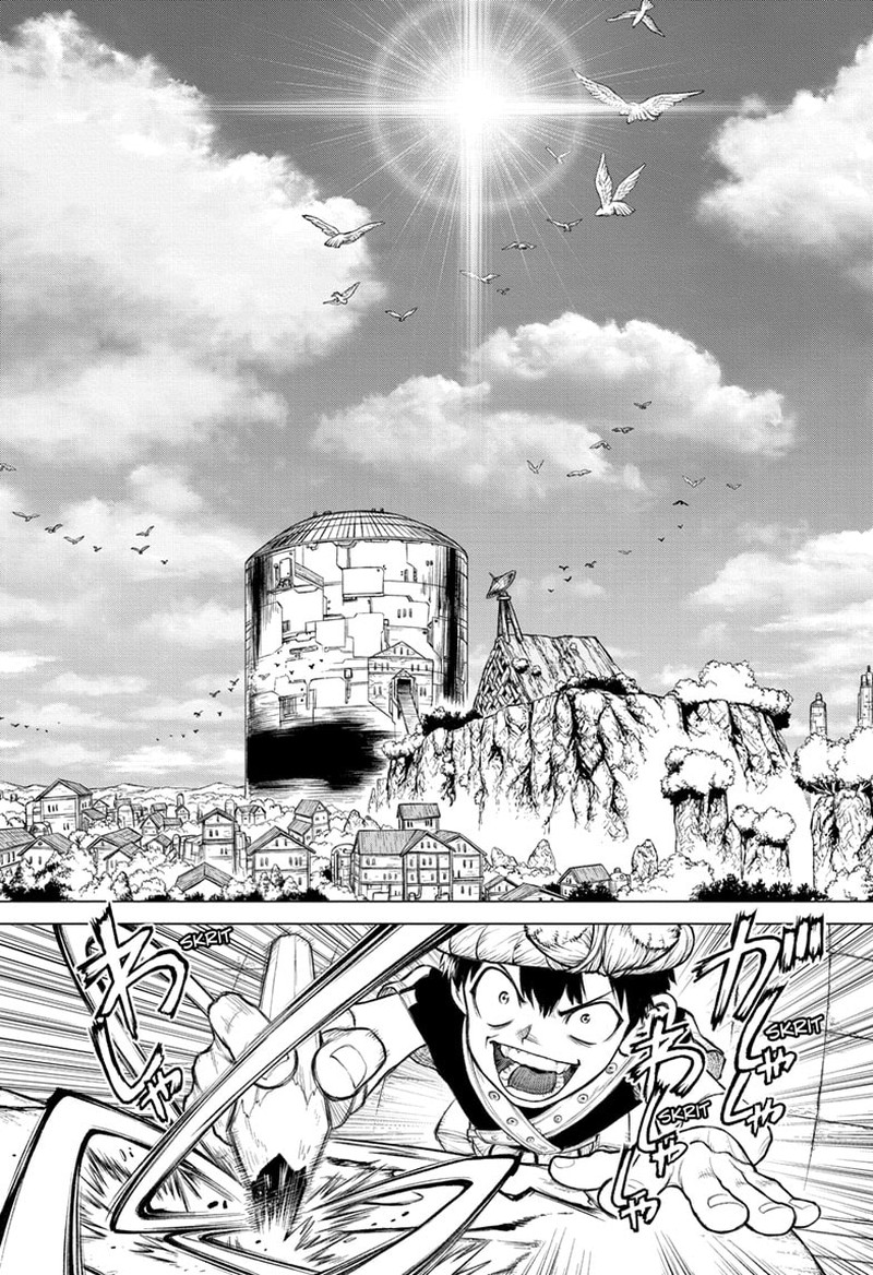 Dr Stone 232g 27