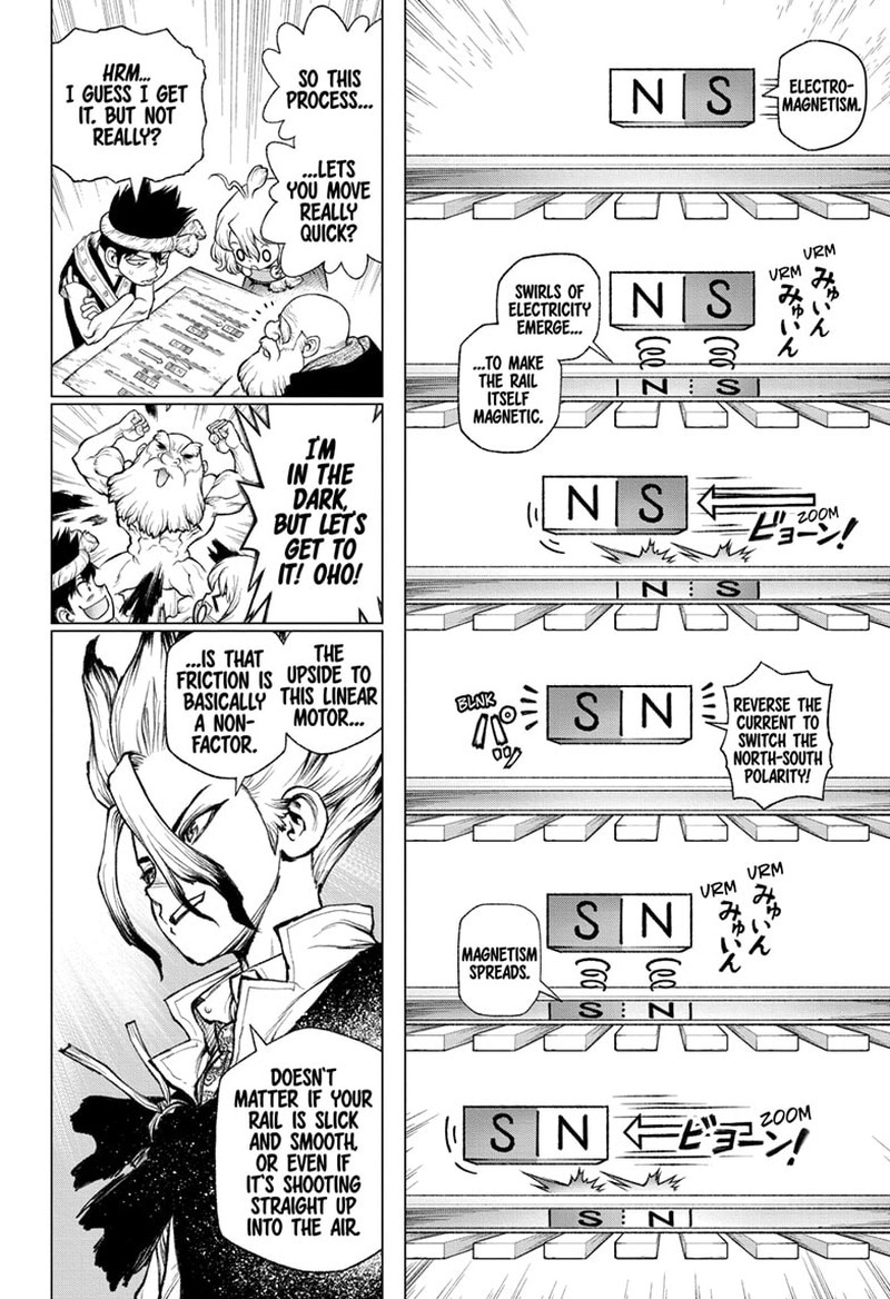 Dr Stone 232g 31