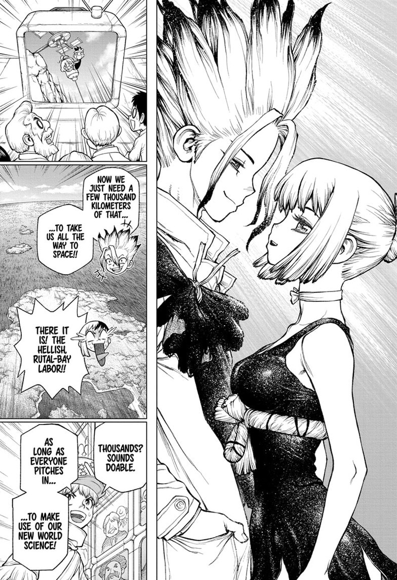 Dr Stone 232g 35